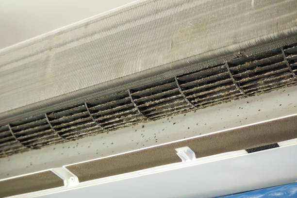 Best HVAC Duct Inspection Services  in Park City, IL