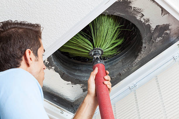 Best Duct Cleaning for Homes  in Park City, IL